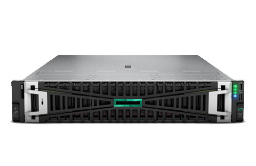 惠普（HP） DL385 Gen11 大数据服务器（1颗*AMD EPYC™（霄龙）9224，24核，2.5GHz | 128GB 4800MT/s 内存 | 5块*1.92TB 固态硬盘 | 三年保修 ）