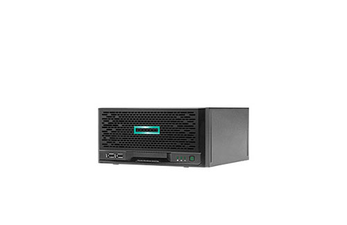 HPE MicroServer Gen10 Plus 小型服务器（奔腾G5420，双核 | 8GB 内存 | 1TB SATA 硬盘 | 三年保修）